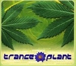 cover: Various - Tranceplant Session 01