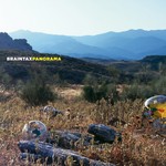 cover: Braintax - Panorama