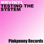 cover: Mr Vinyl - Testing The System