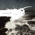 cover: Assemblage 23 - Storm