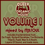 cover: Mysoul|Various - Queep Organic House Volume 1