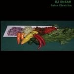 cover: Dj Sneak - Salsa Elektrika