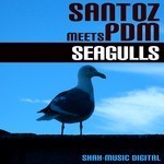 cover: Pdm|Santoz - Seagulls