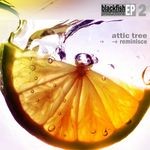 cover: Attic Tree - Reminisce