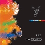 cover: Pitch Black - Ape To Angel