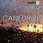 cover: Canedrive - Loose Ends