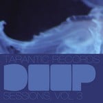 cover: Various - Deep Sessions Vol 3