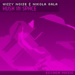 cover: Nikola Gala|Wizzy Noise - Hush In Space