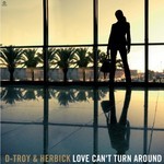 cover: D Troy|Herbick - Love Can't Turn Around