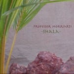 cover: Professor Morriarti - Shala