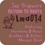 cover: Jay Tripwire - Return To Roots