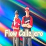 cover: Flow Callejero - Baila