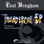 cover: Paul Bingham - Thundercat EP