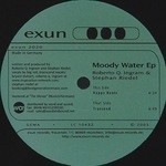 cover: Stephan Riedel|Ingram, Roberto Q - Moody Water EP