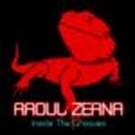 cover: Raoul Zerna - Inside The Grooves