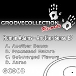 cover: Human Adams - Another Sense EP