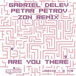 cover: Delev, Gabriel|Petar Petrov - Are You There?