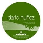 cover: Dario Nunez - Sunday