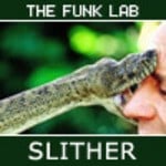 cover: The Funk Lab - Slither