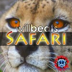 cover: Will Beats - SAFARI