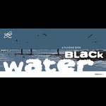 cover: A Hundred Birds - Black Water