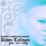 cover: Dawn Tallman - You Are Why (Bobby D'Ambrosio Mixes)