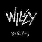 cover: Wiley - No Qualms