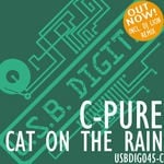 cover: C-pure - Cat On The Rain