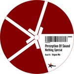 cover: Perception Of Sound - Nothing Special