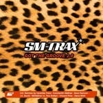 cover: Sm Trax - Got The Groove 2.8