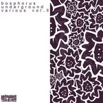 cover: Various - Bosphorus Underground Various Vol 2