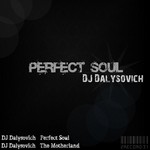 cover: Dj Dalysovich - Perfect Soul