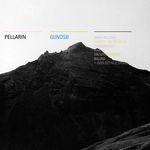 cover: Pellarin - GundsÃ¸