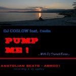 cover: Dj Coslow|Evelin - Pump Me