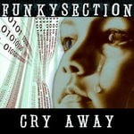 cover: Funkysection - Cry Away