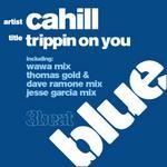 cover: Cahill - Trippin On You