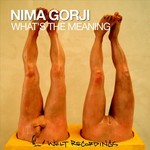 cover: Nima Gorji - What's The Meaning