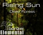 cover: Rising Sun - Deep Forest