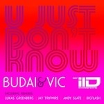 cover: Budai & Vic - U Just Don't Know