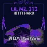 cover: Lil Mz 313 - Hit It Hard!