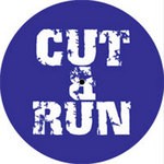 cover: Cut & Run - London Massive