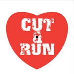 cover: Cut & Run - Another Dance