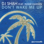 cover: Inger Hansen|Dj Shah - Don't Wake Me Up