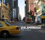 cover: Salamandra - Take Me Away