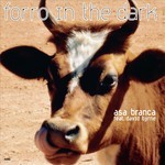 cover: David Byrne|Forro In The Dark - Asa Branca