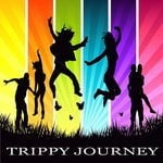 cover: Various - Trippy Journey