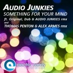 cover: Audio Junkies - Something 4 Your Mind