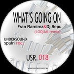 cover: Dj Sepu|Fran Ramirez|Soulgroove - What's Going On (Loquai remix)