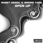 cover: Naidre York|Sendil, Ahmet - Open Up