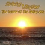 cover: Brisby & Jingles - The House Of The Rising Sun